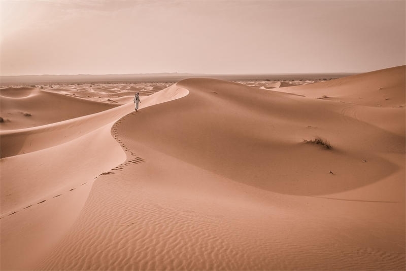 沙漠的重要性有哪些，沙漠对地球的作用和影响