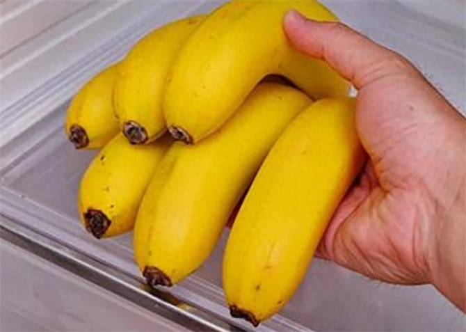 香蕉可以放冰箱保鲜吗，香蕉放冰箱的正确做法