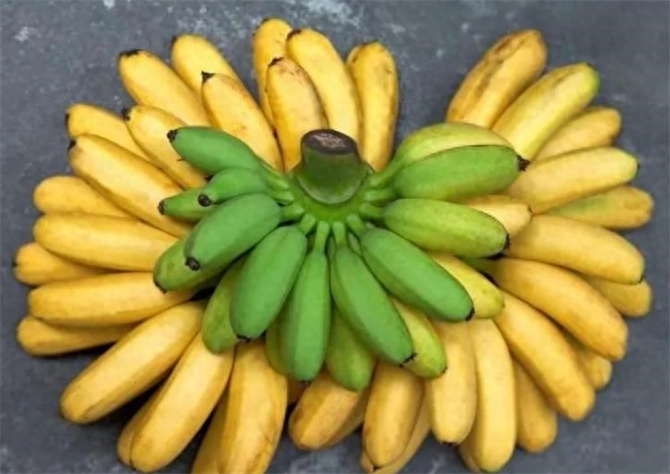 生香蕉还是熟香蕉区别在哪里，有什么功效