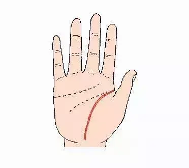 手掌心的三条线代表什么，手掌线三根线的图解