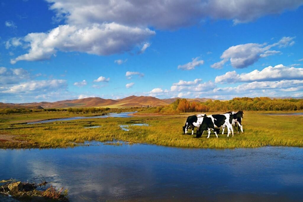 9月去内蒙古合适吗，呼伦贝尔大草原几月份去最美