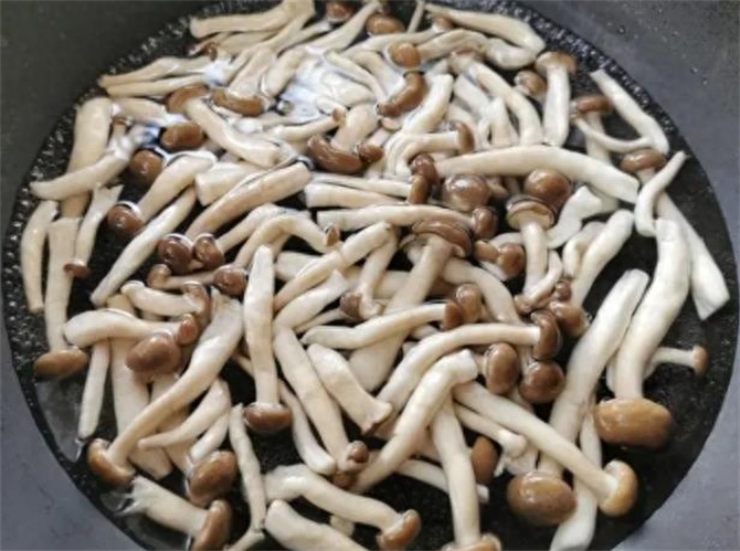 蟹味菇需要焯水吗，蟹味菇最佳吃法