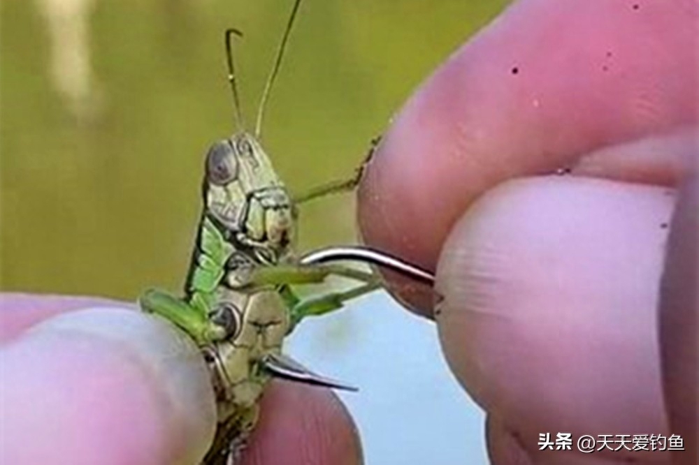 雨天钓鱼好不好钓，下雨天钓鱼的技巧