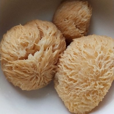 干猴头菇怎么吃，干猴头菇的家常做法
