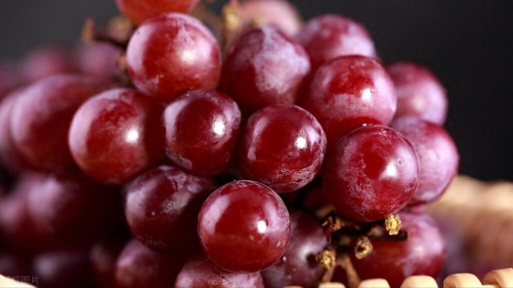 葡萄的品种有哪些，常见的葡萄品种与分类