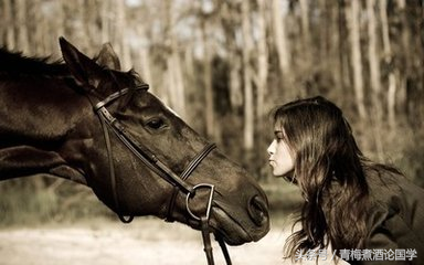 形容马的成语有哪些，与马相关的成语