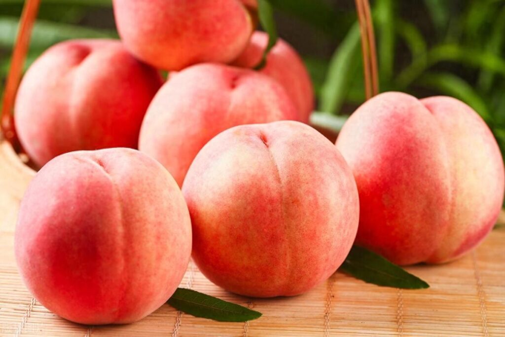桃子的品种有哪些，好吃的桃子品种排名