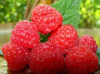 山莓是覆盆子吗，山莓的功效与作用