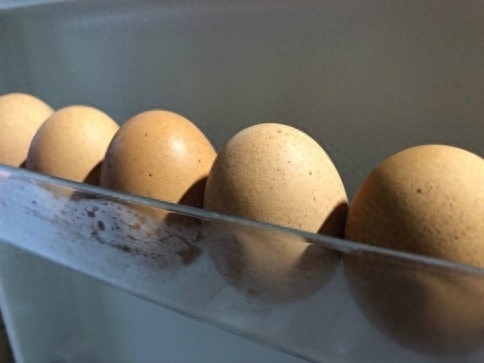 双黄鸡蛋能孵化出小鸡吗，双黄蛋的孵化方法
