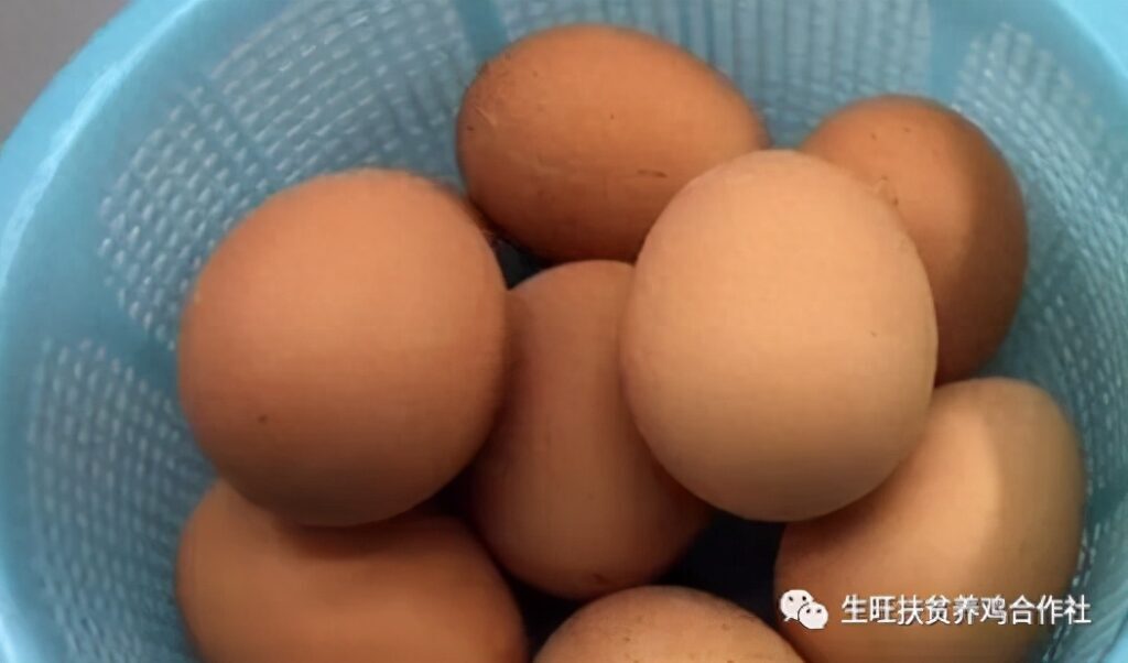 真正的土鸡蛋是什么样的，鉴别土鸡蛋最快方法