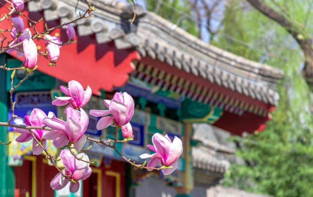 红楼梦主要讲的是什么故事，红楼梦故事情节概括