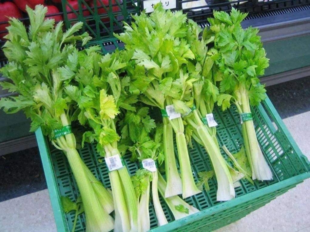 蔬菜并非越新鲜越好吗，怎么判断蔬菜是否新鲜