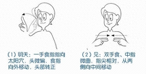 手语怎么学的快，零基础怎么学手语