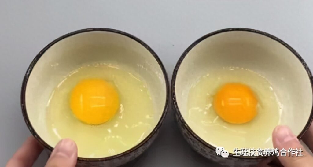 真正的土鸡蛋是什么样的，鉴别土鸡蛋最快方法