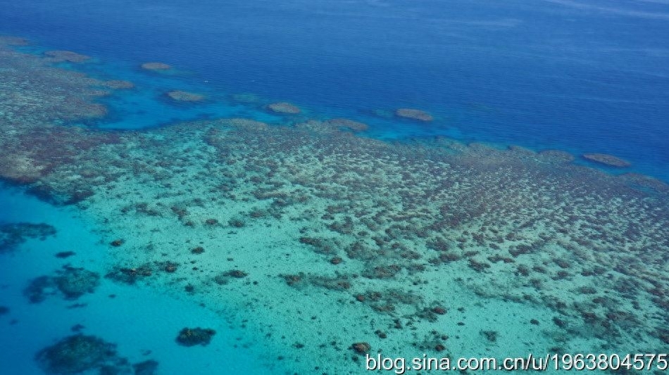 什么是珊瑚礁，珊瑚礁是如何形成的