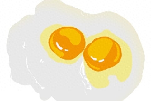 双黄鸡蛋能孵化出小鸡吗，双黄蛋的孵化方法