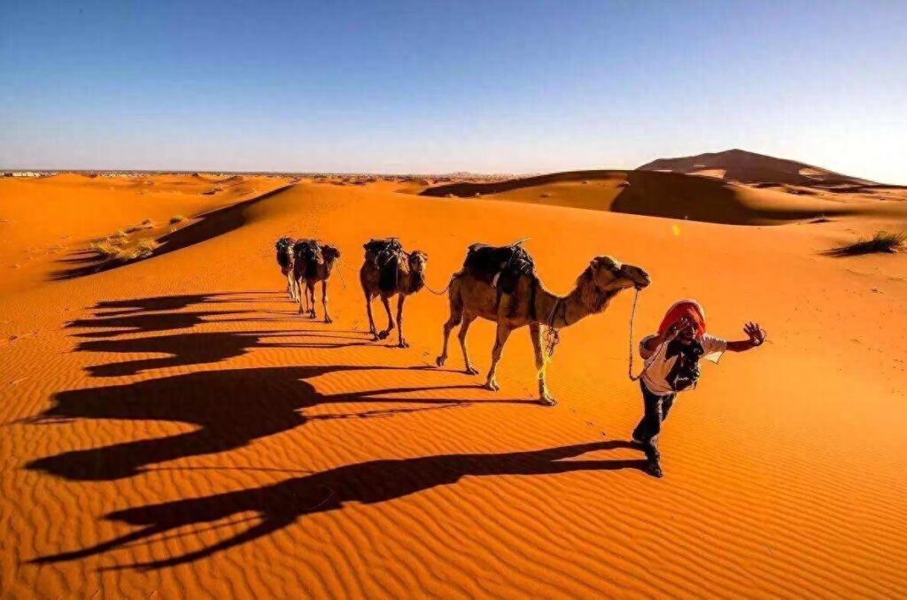 撒哈拉沙漠沙子有多深，撒哈拉沙漠在哪里