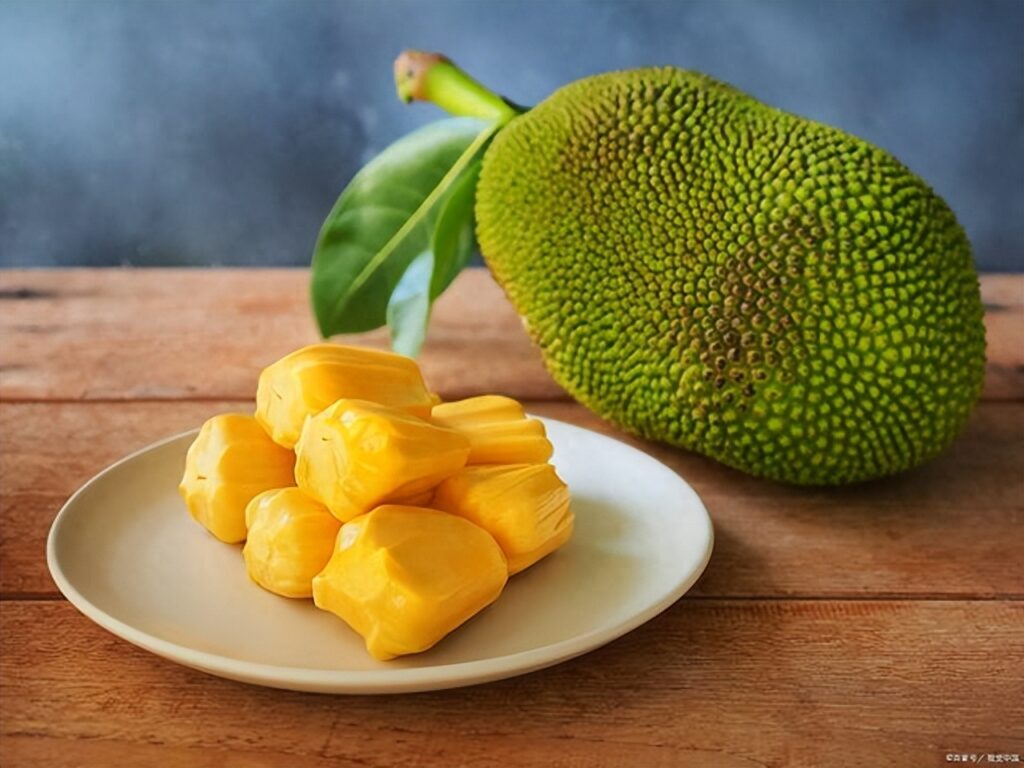 菠萝蜜可以放冰箱保存吗，菠萝蜜放冷藏还是冷冻
