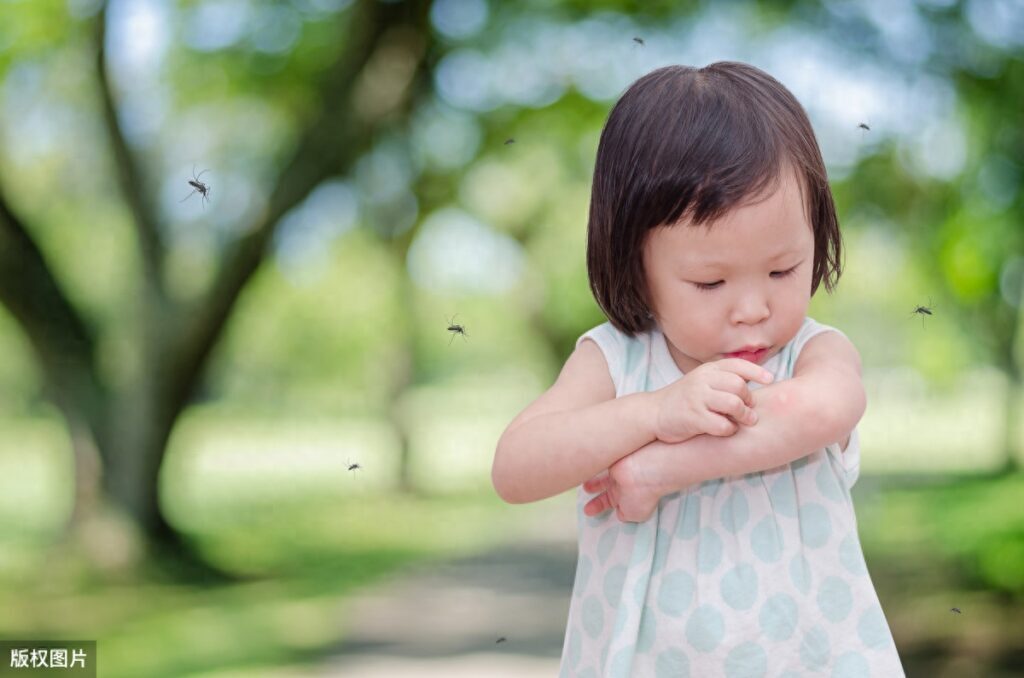 如何辨认蚊子公母，蚊子的雌雄辨别方法