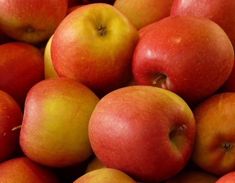 苹果几月份成熟，苹果几月份成熟上市