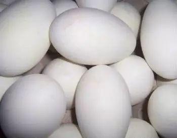 鹅蛋的功效是什么，鹅蛋白的营养价值及功效