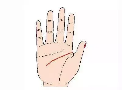 手掌心的三条线代表什么，手掌线三根线的图解