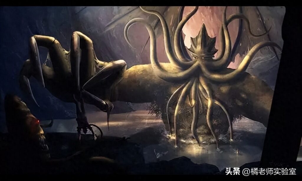 章鱼寿命多长，章鱼寿命最长能活多久
