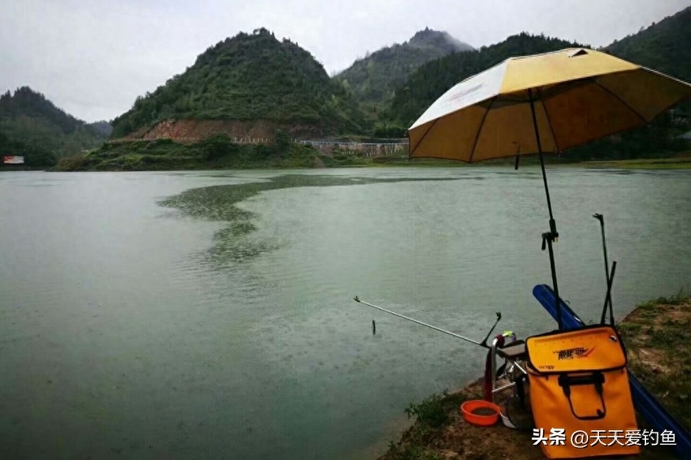 雨天钓鱼好不好钓，下雨天钓鱼的技巧