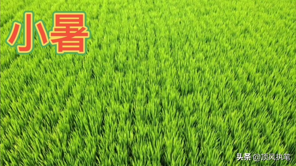 夏季节气有哪些，夏季包含的节气