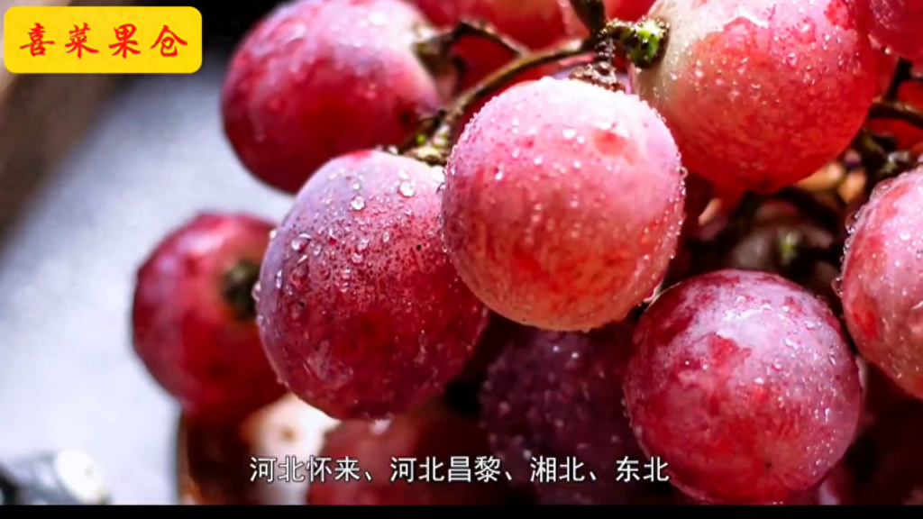 红提产地在哪里，红提产地哪里的最好的