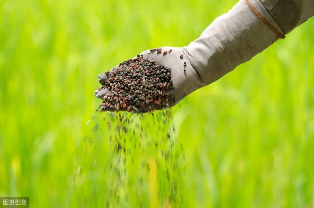 氮肥是什么，氮肥和肥料有什么区别