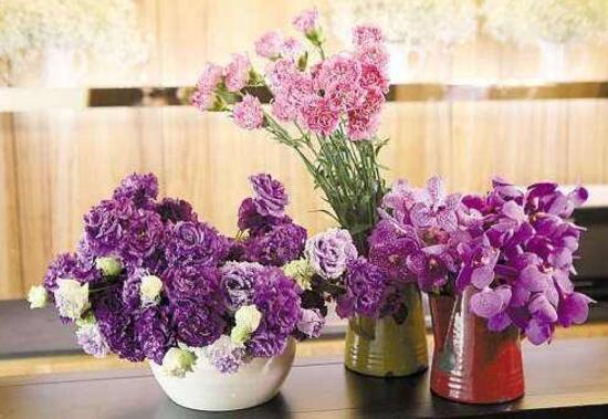 康乃馨花怎么养，康乃馨的养殖方法和浇水