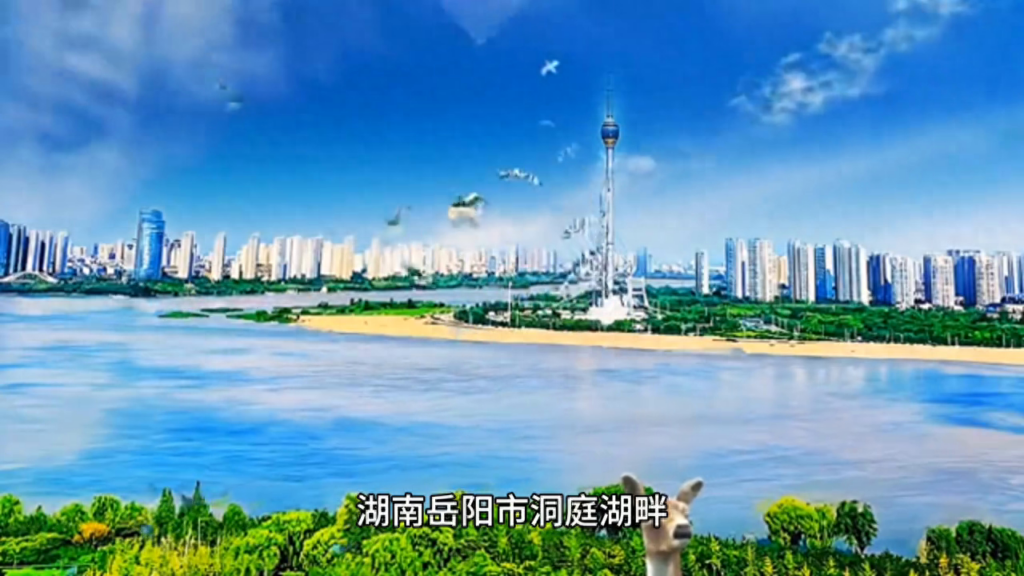 湘妃竹产地区是哪里，什么是湘妃竹