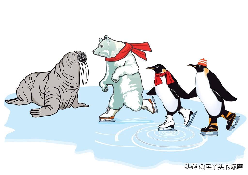 为什么北极熊不吃企鹅，企鹅和北极熊生活在哪里