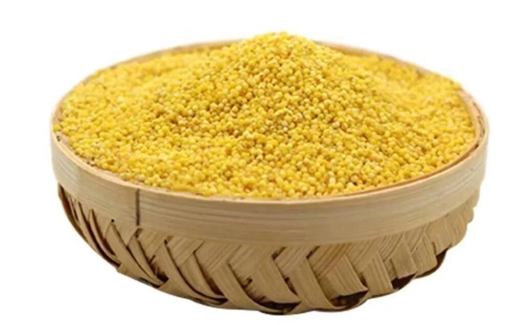 黄米原产自中国什么地方，国内哪里产的小黄米好