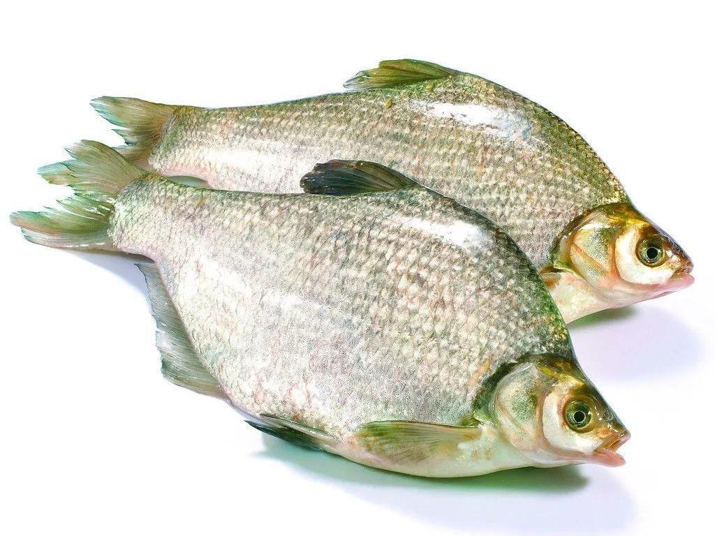 武昌鱼是什么鱼，武昌鱼和鳊鱼的区别