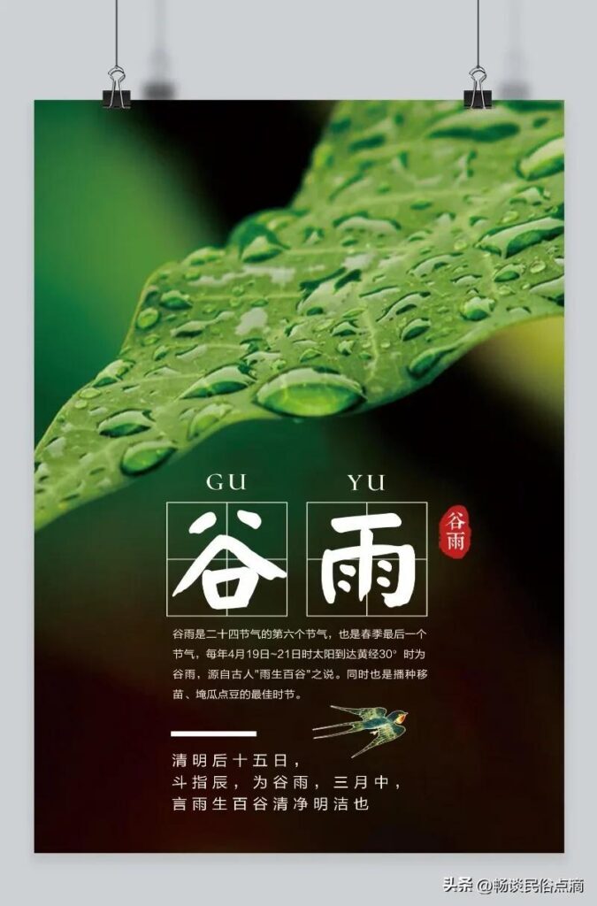 谷雨有哪些习俗，谷雨的民俗文化