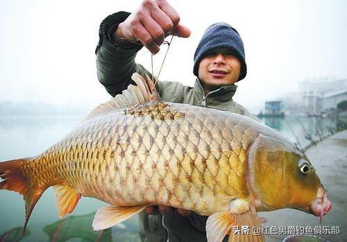 野钓需要准备什么东西，野钓需要注意哪些细节