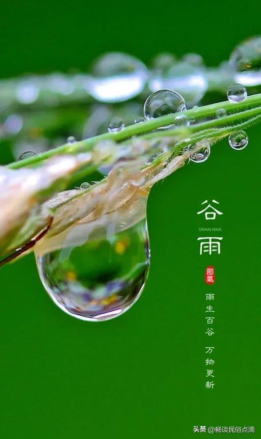 谷雨有哪些习俗，谷雨的民俗文化