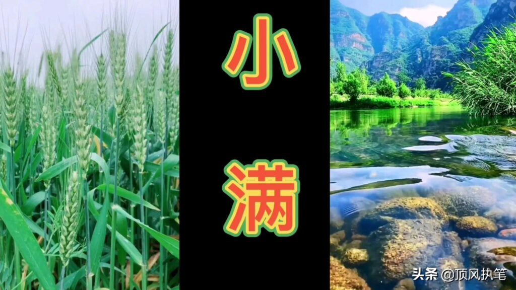 夏季节气有哪些，夏季包含的节气