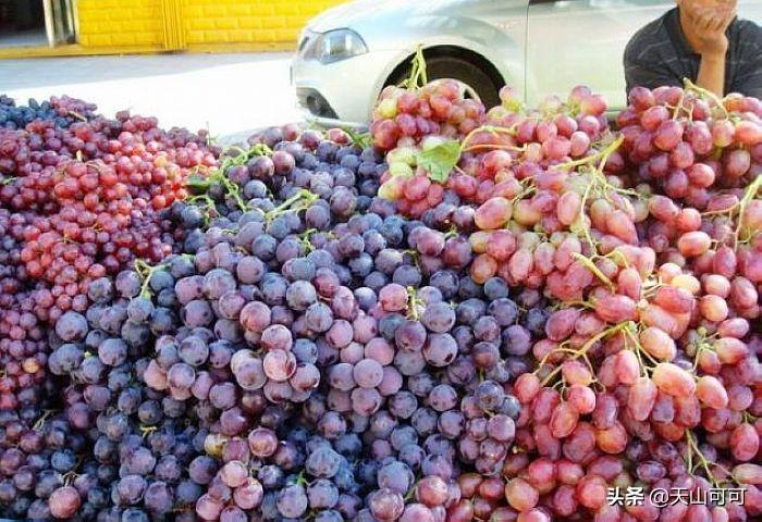 新疆哪个品种葡萄最好吃，新疆最好吃的葡萄品种