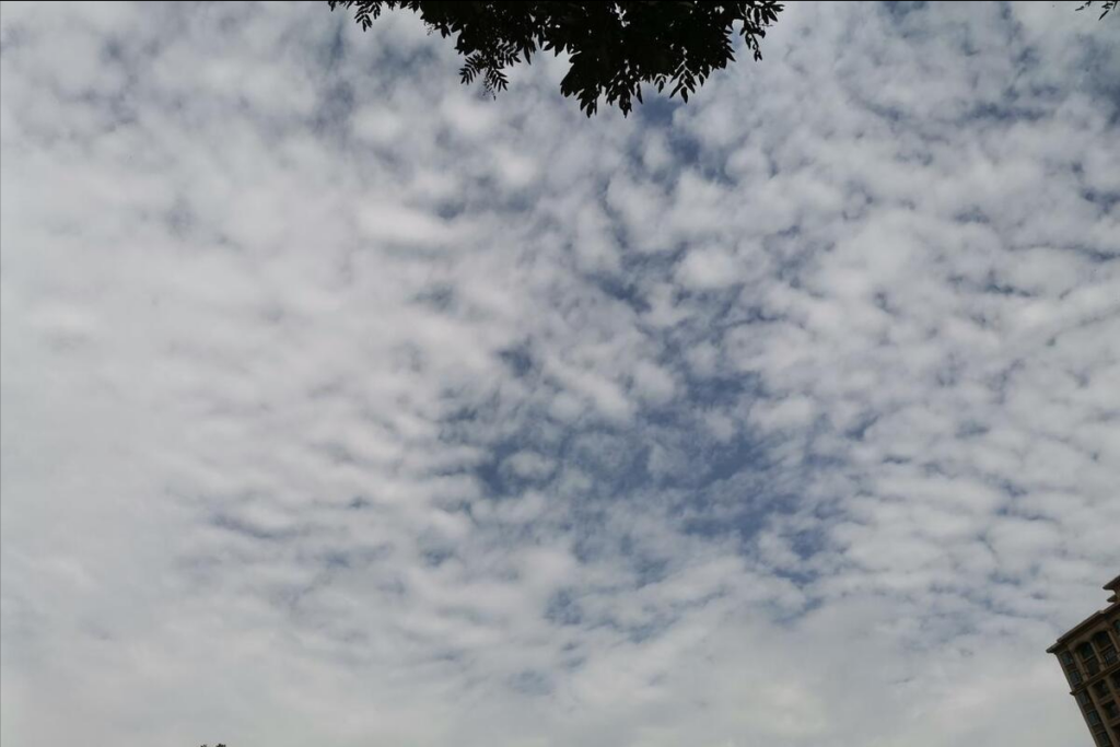 九毒日是哪几天，九毒日的来历