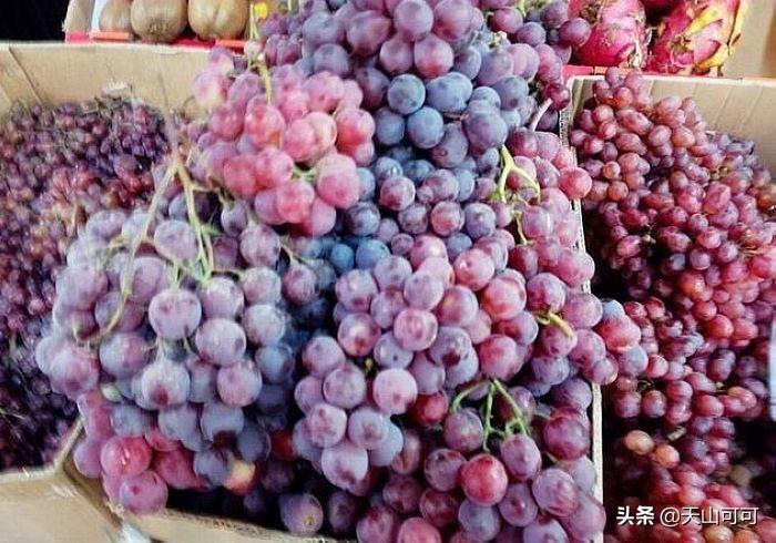 新疆哪个品种葡萄最好吃，新疆最好吃的葡萄品种