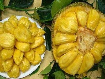 菠萝蜜是什么水果，菠萝蜜和菠萝有啥关系