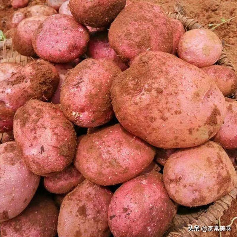 马铃薯产地在哪里，中国最好吃的土豆排名