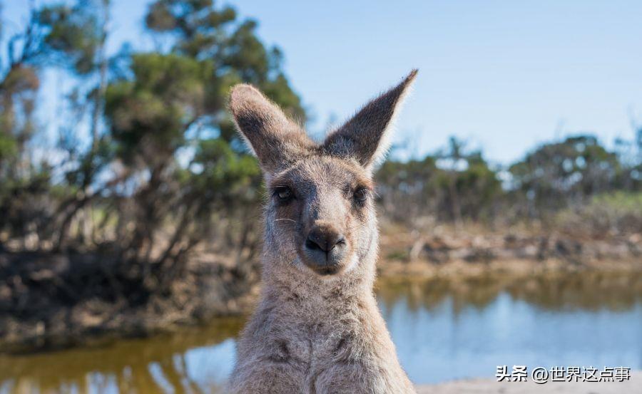 澳大利亚旅游多少钱？澳大利亚最便宜旅游攻略