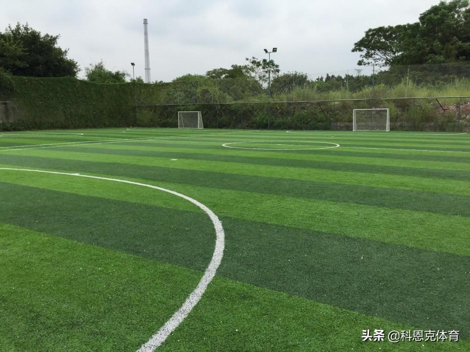 人工草地如何建植？人工草地建植技术要求