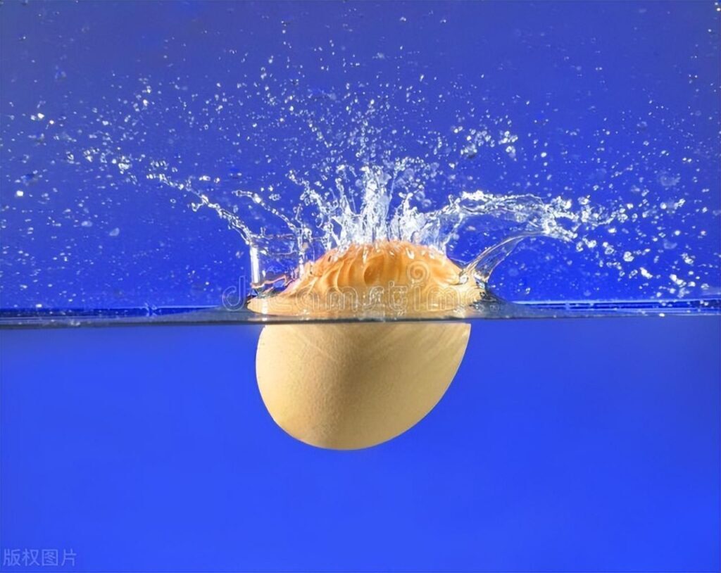 盐水浮鸡蛋的原理是什么？盐水浮鸡蛋谁发现的？