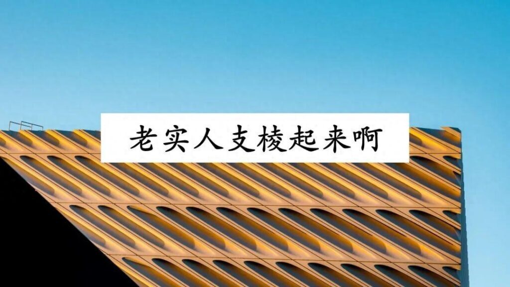 如何不被别人欺负？被别人欺负了怎么反击？