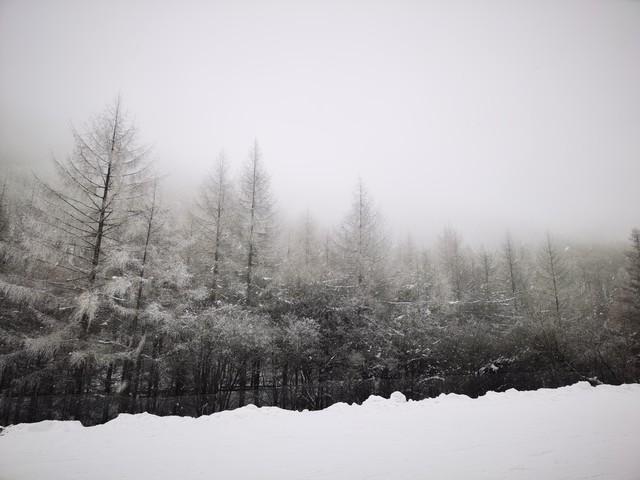 去雪乡大约多少钱？中国雪乡旅游攻略及费用